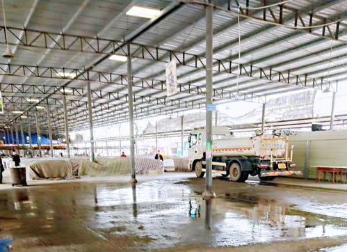 爱护环境勤打扫，携手共建文明城——清泉镇开展爱国卫生行动暨环境卫生公共设施安装服务