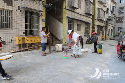 西湖镇开展环境卫生大扫除志愿服务活动，推进公共设施安装服务提质增效