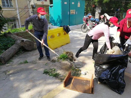 厦门 精细管护公共卫生环境设施 全面提升城乡环境卫生面貌